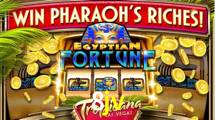 Descubra o Mundo do Cassino Online com 8jv